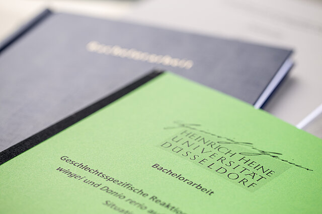 Universität Düsseldorf Bachelorarbeit
